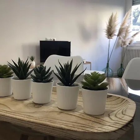 Hyp - D'auga Apartment Redondela